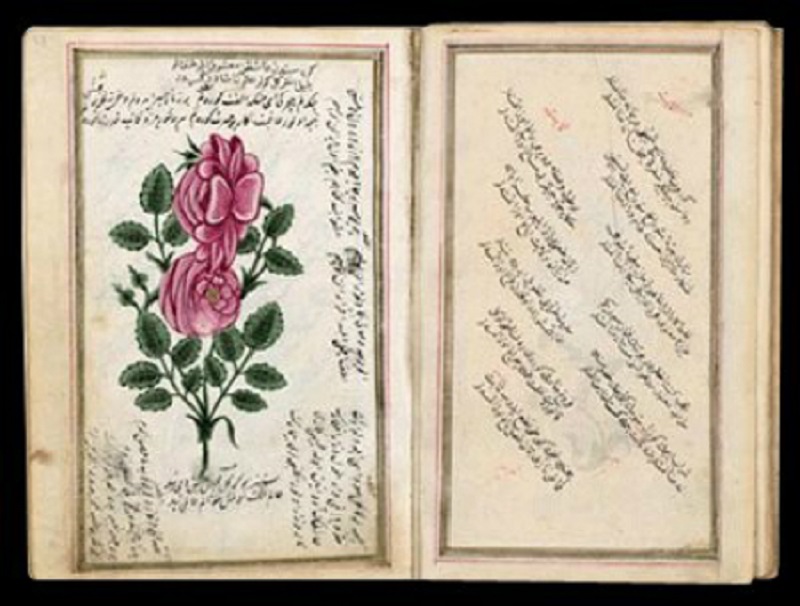 Divan Edebiyatı Şiiri Biçim Ve İçerik Özellikleri Osmanlı Divan Edebiyatı El Kitabı Şiirleri Eserleri Şairleri Edebi Kişileri Tarihi